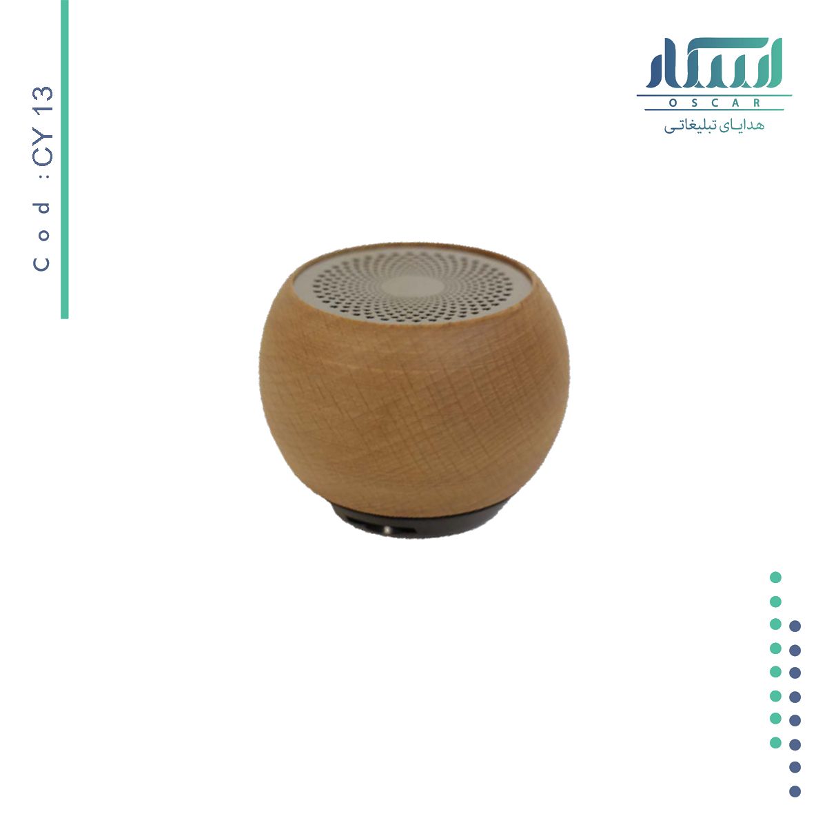 اسپیکر تبلیغاتی CY13