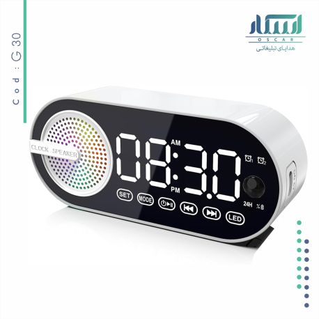 اسپیکر تبلیغاتی G30
