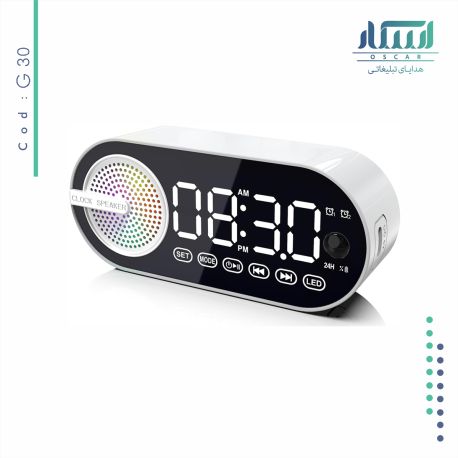اسپیکر تبلیغاتی G30